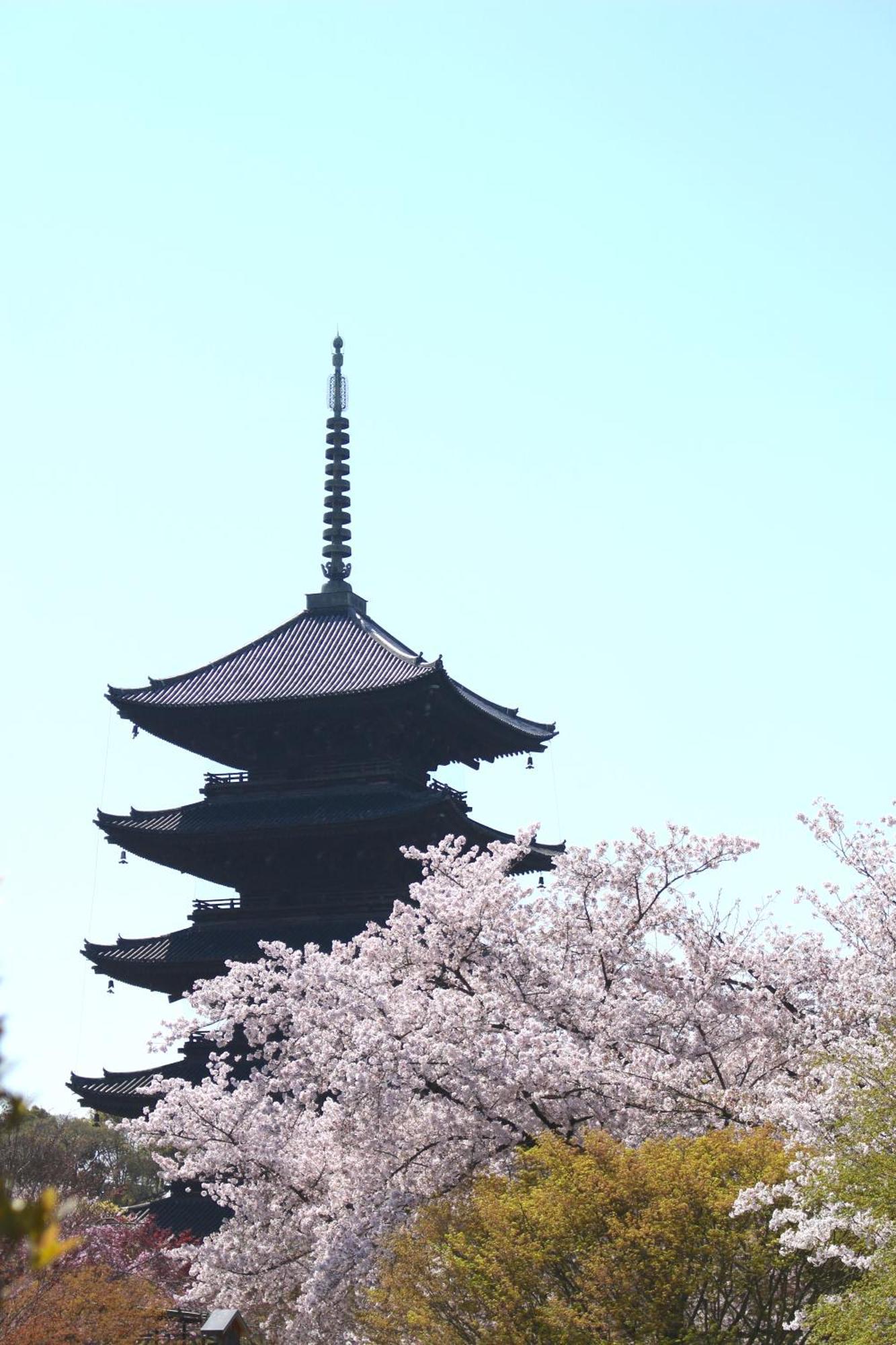 Stay Sakura Kyoto Tsubaki Exterior photo
